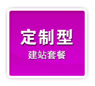 定制型