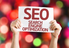 SEO頁面與蜘蛛爬行分析