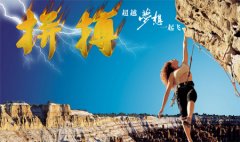 IT行業資深seo分析師講述他的職業生涯