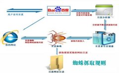 怎樣吸引蜘蛛抓取提供網(wǎng)站收錄和流量