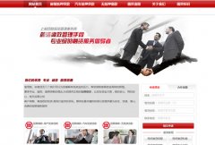 臣財投資網站關鍵詞排名恢復案例