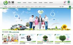 朗創營銷網站建設案例