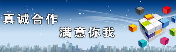 企業網站想做優化,SEO怎么收費,企業網站做排名