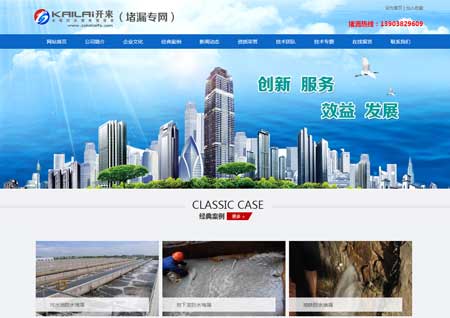 網站建設案例