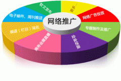 把握內容網絡推廣服務的開展