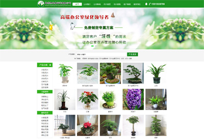展示型網站建設+SEO優化案例