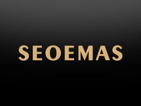 seo優化快速排名
